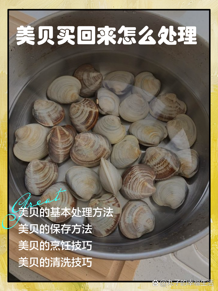 米贝新手常见误区 选购前一定要避开这些坑