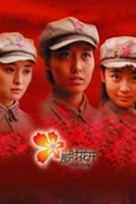 我们的秘密那时花开手机中文完整版 播放问题解决