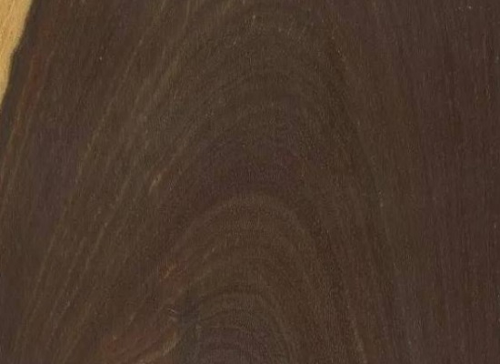 Mingw (MinGW)安装配置教程新手快速入门指南全过程配图