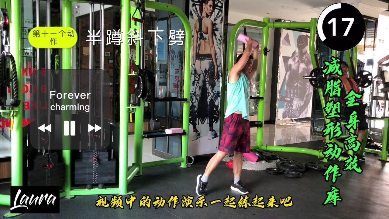 GaoFit��֬����ѵ�������ֽ��ѧʵ��ͼ