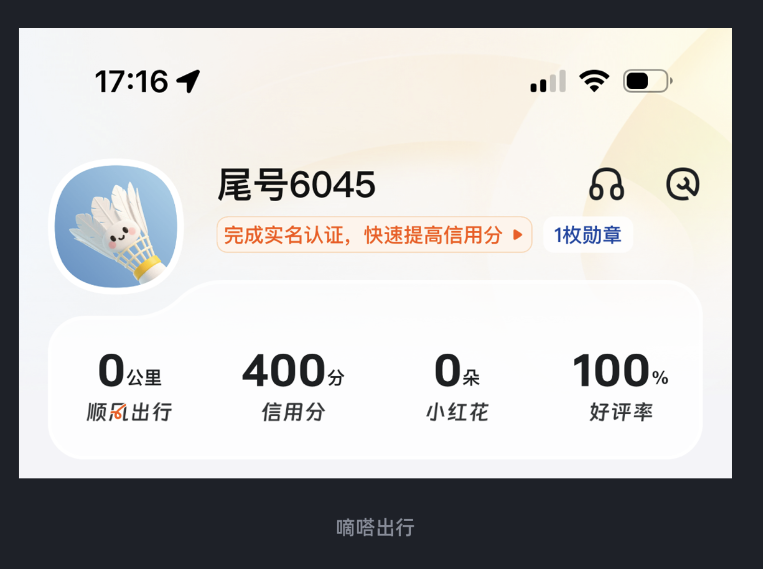 ����ճ�ʹ�ý������չʾͼ