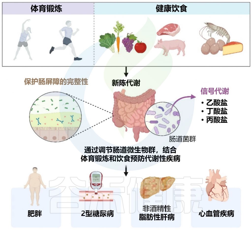 智慧运动健康饮食搭配与运动恢复场景