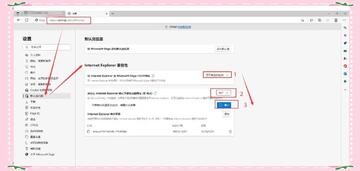 Internet Explorer 11 ��������������볣��������ȫ������ͼ