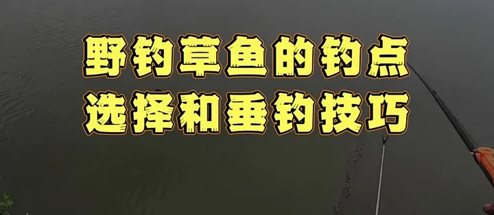 鱼口大师野钓抓口技巧实战教学配图