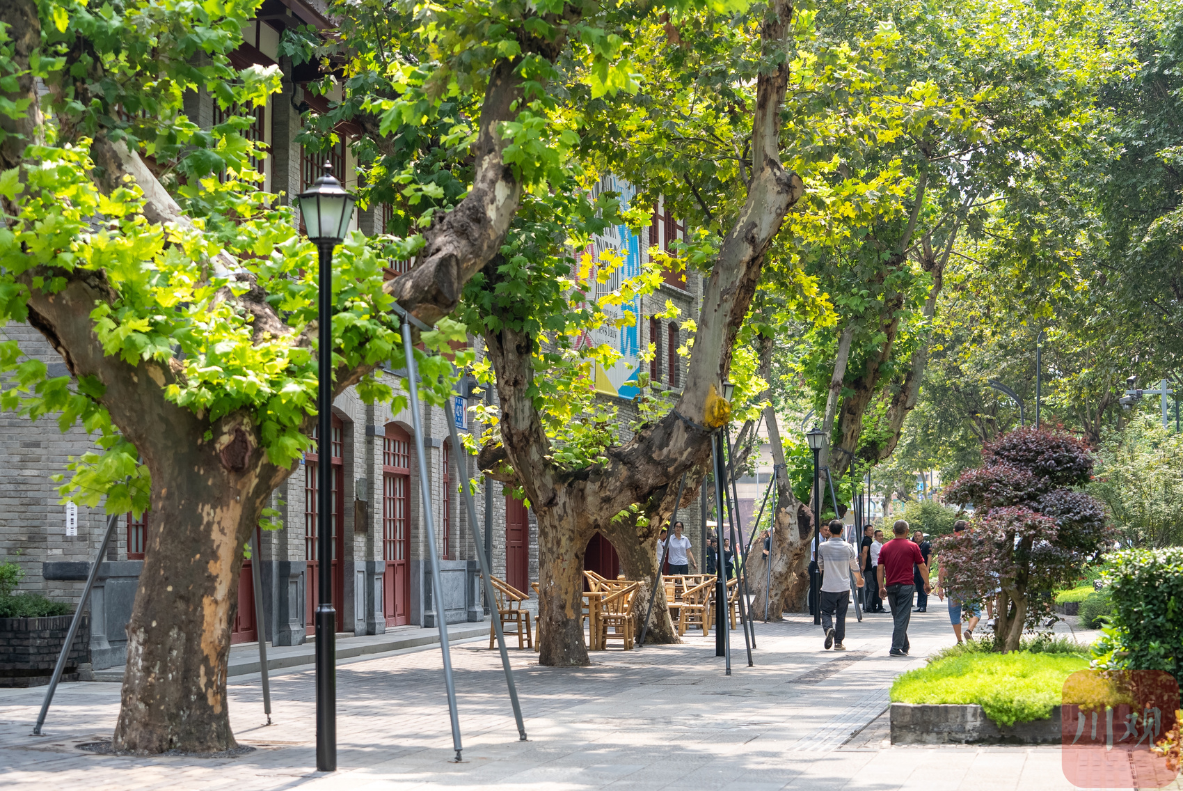 �Ի���ͩ�Ͻ������½����Ա���Ƭ