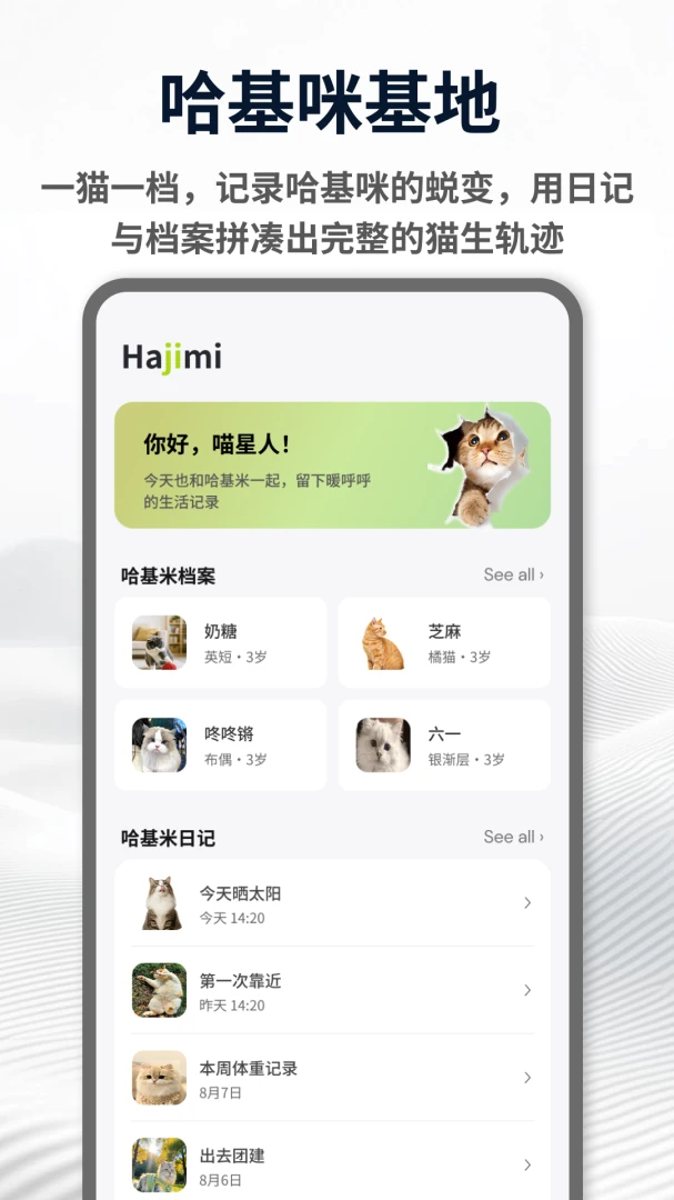 哈基米安卓版主题设置