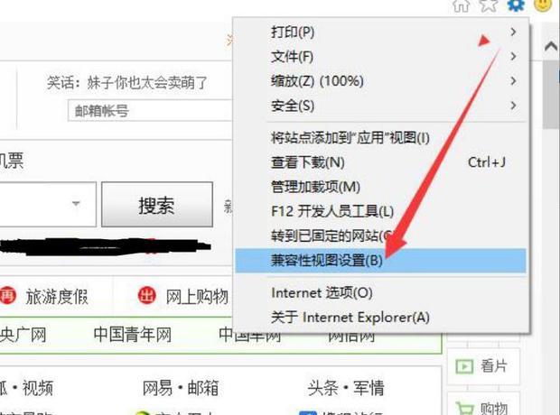 Internet Explorer 11 老网站兼容性视图设置界面