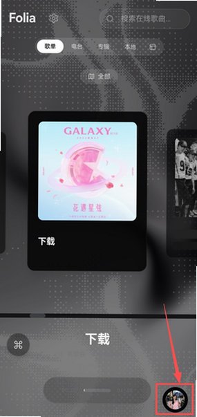 Folia音乐播放器移动端最新版v0.7.15安卓版截图3