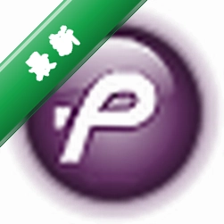Macromedia FlashPaper