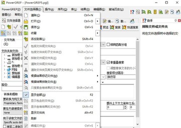 JGsoft PowerGREP (�����ı���������) ������������ļ�ѡ������չʾ