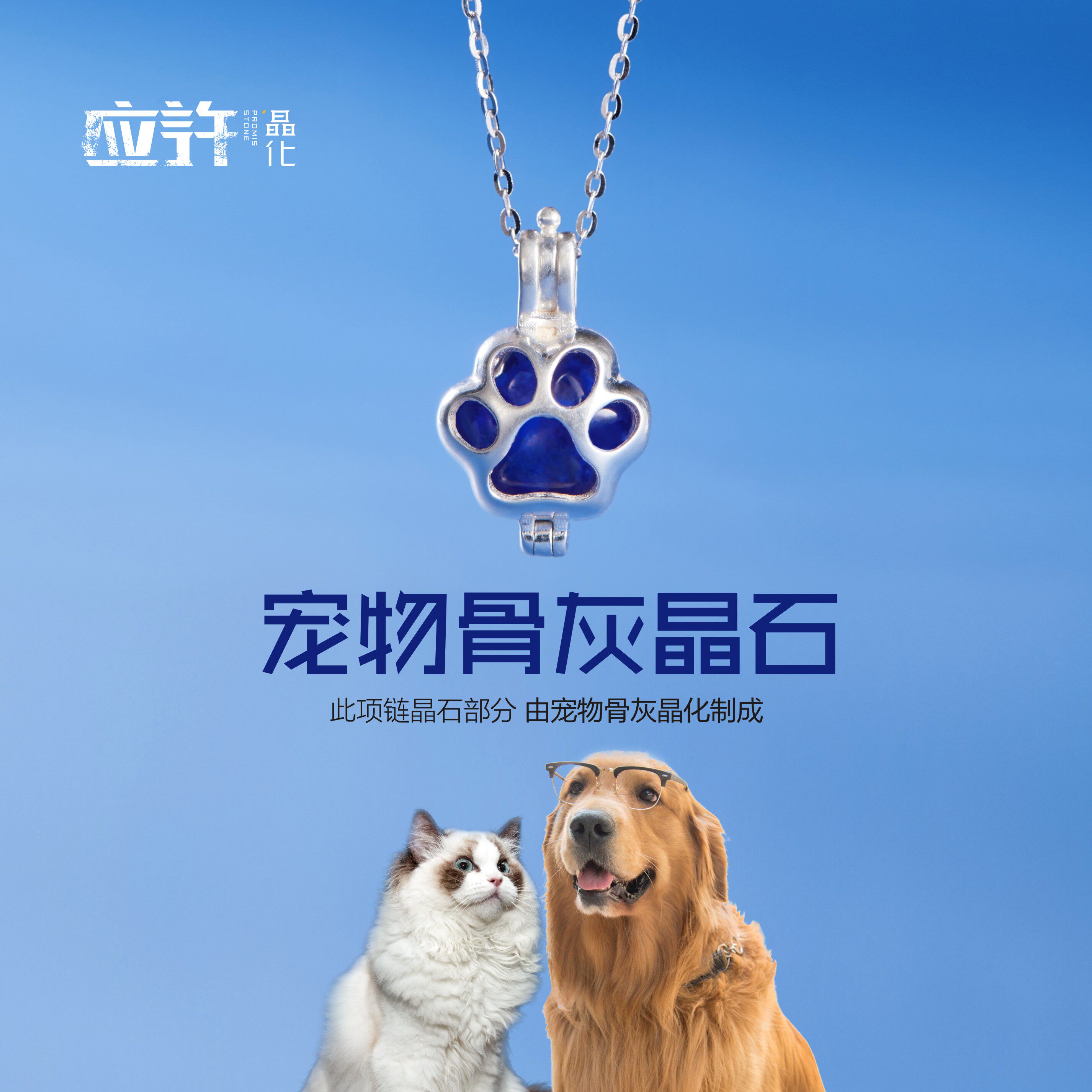 趣爪印宠物爪印纪念品银项链和摆件实物细节,展示爪印纹路清晰度