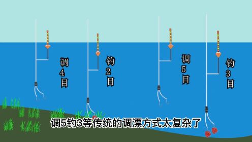 鱼口大师野钓调漂技巧新手连竿实战经验分享图
