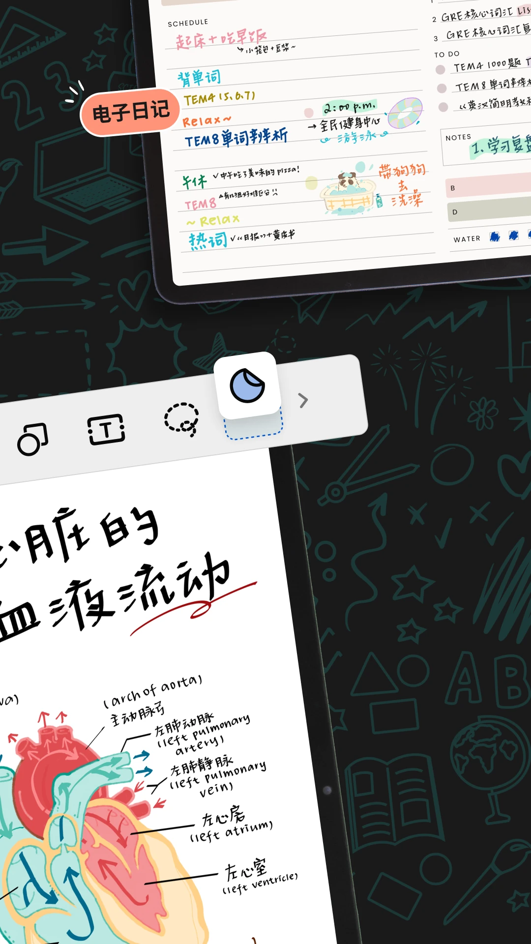 Noteshelf 35.1.5官方版截图4