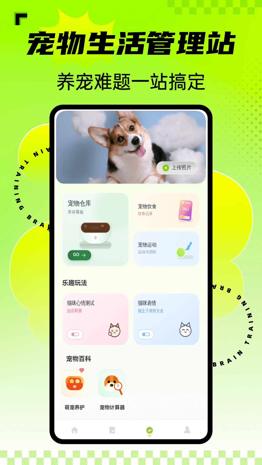 安心养宠1.0.4 安卓版截图2
