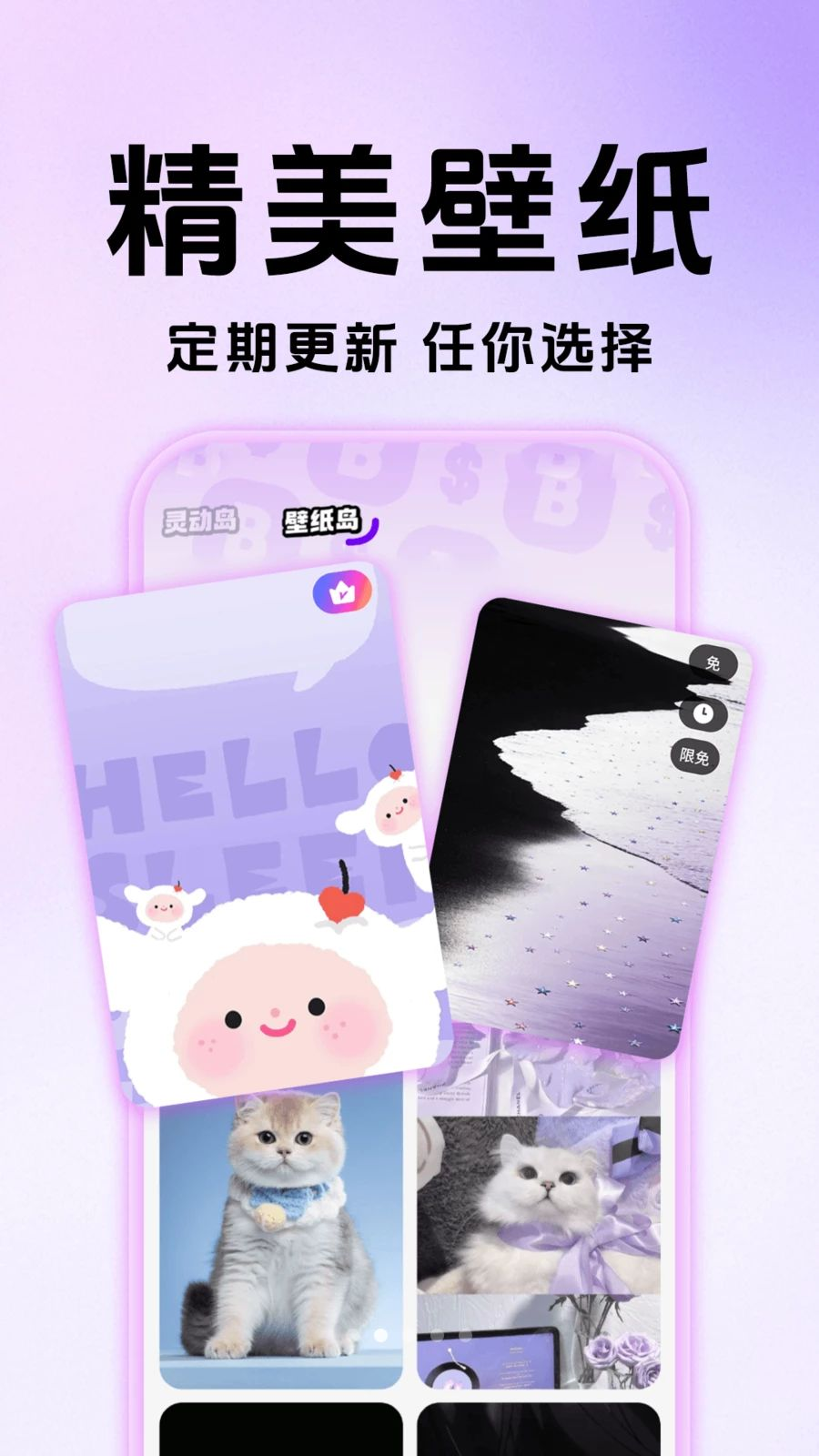 灵动主题桌面壁纸1.0.5 官方版截图1