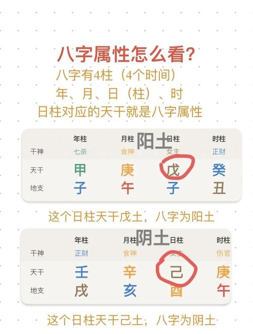 在雪八字排盘女命辛金实例排盘结果图