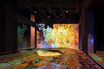 数艺拾光数字艺术平台整体界面与作品展示
