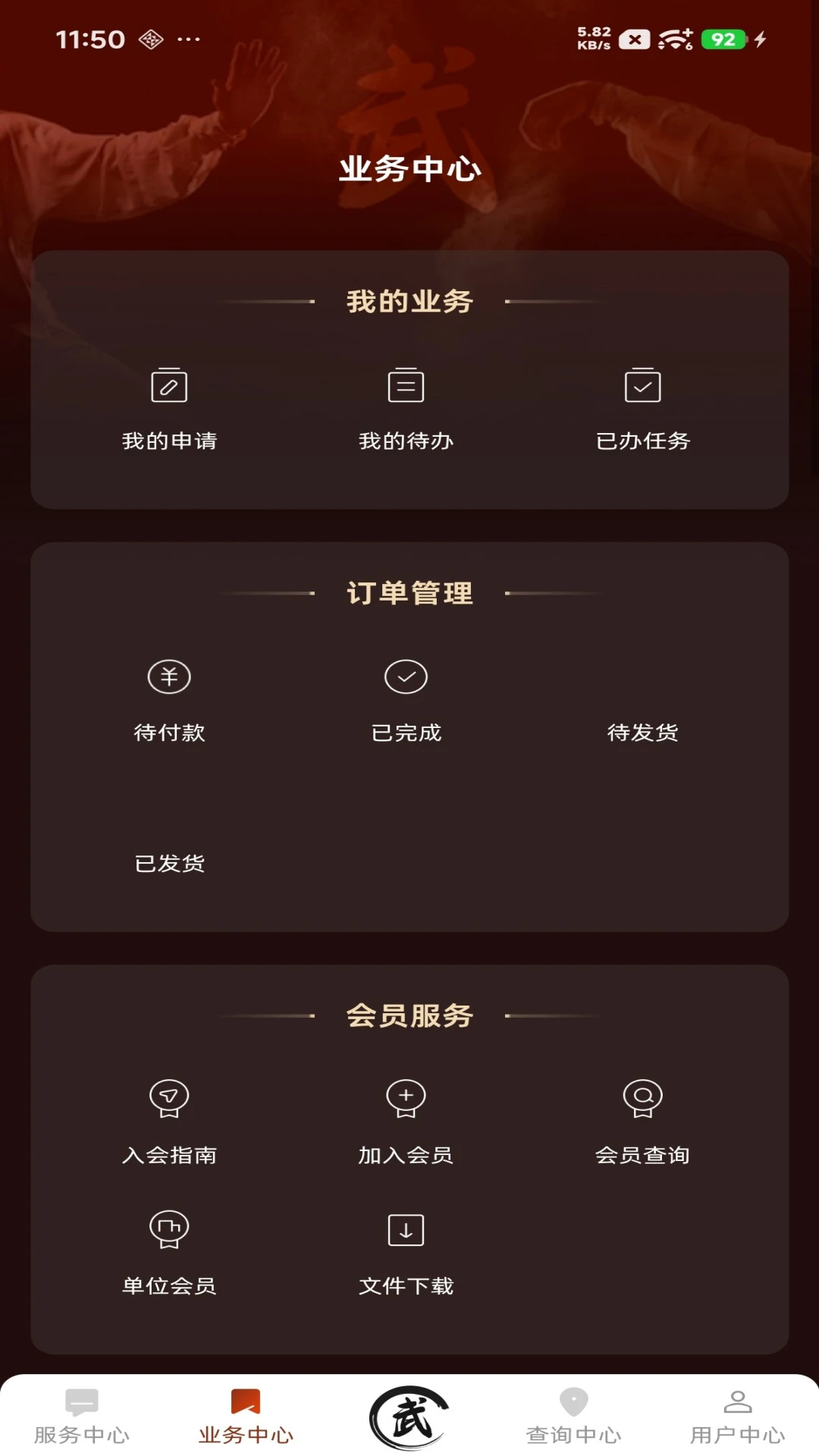 中国武术1.1.1 安卓版截图1