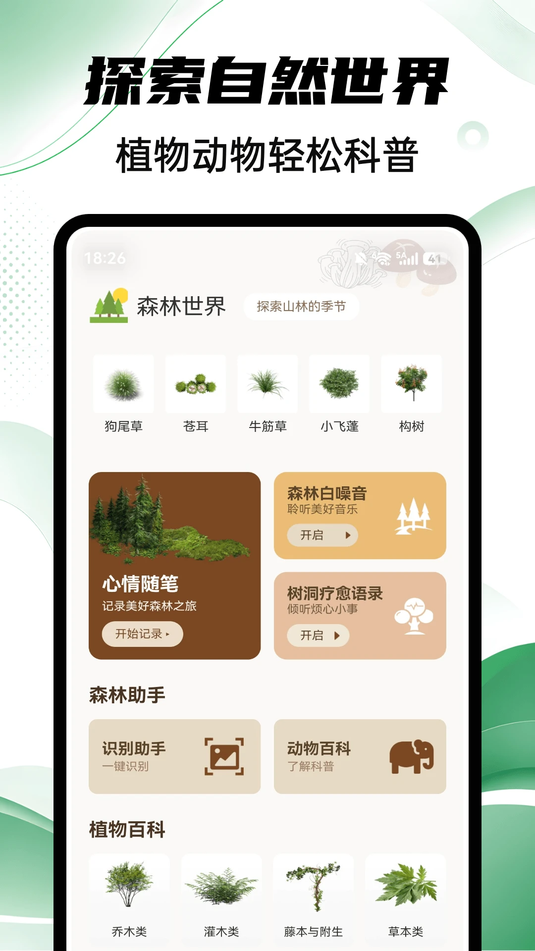 Aelu森林1.0.5 官方版截图3