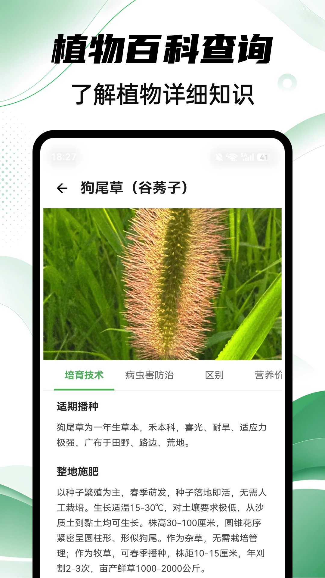 Aelu森林1.0.5 官方版截图2