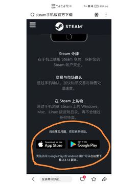 反射魔女(steam移植)手机版下载安装全流程配图