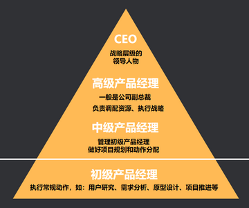 COO+实战指南 运营总监进阶必备技能 全文概括配图