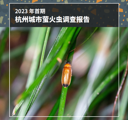 萤虫看家免费官方版2026最新版常见问题排查示意图