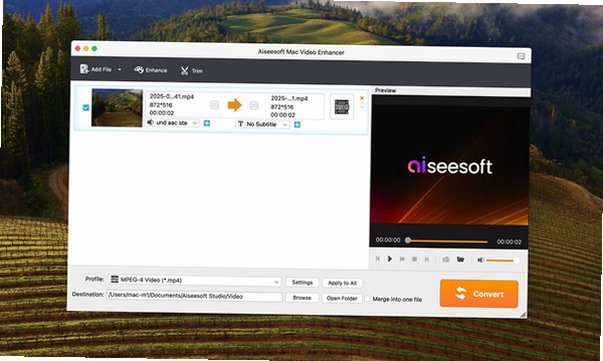 Aiseesoft Mac Video Enhancer Mac���԰��ͼ3