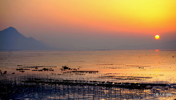 又火的小众旅行地 霞浦滩涂日出摄影