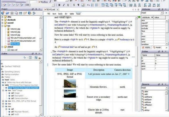 Oxygen XML Editor Mac下载 专业XML编辑器截图1