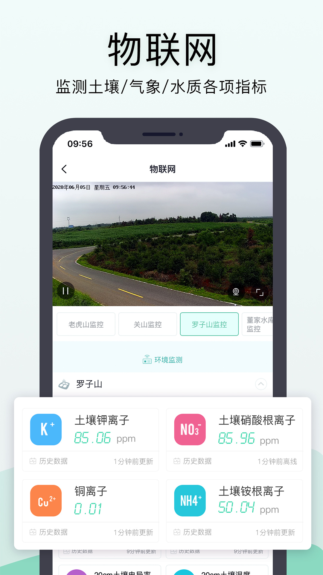神农口袋种子选择与季节土地搭配攻略
