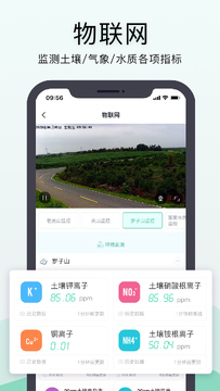神农口袋种子选择与季节土地搭配攻略