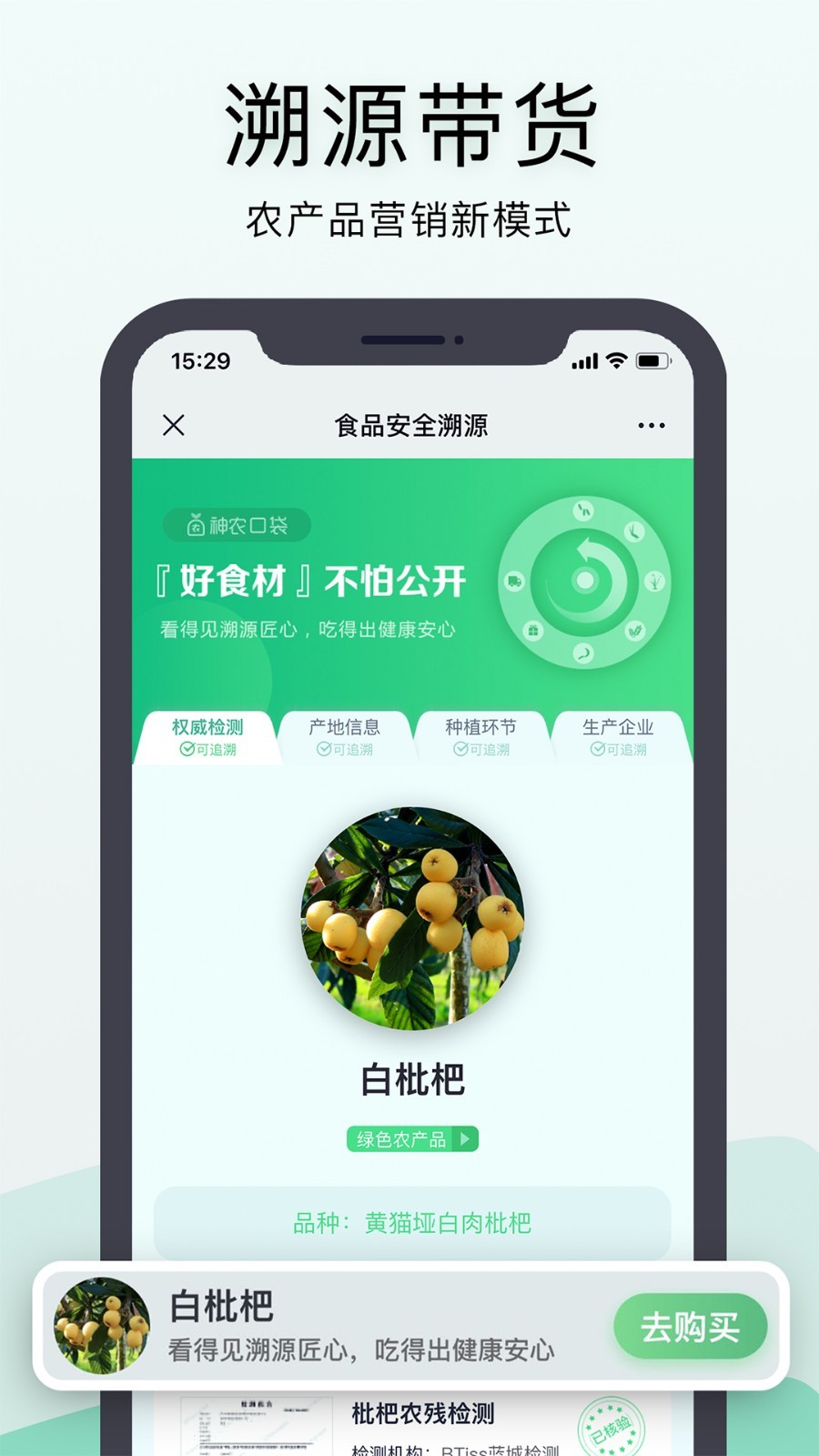 神农口袋种植管理技巧全解析 从选种到收获的农场经营经验分享