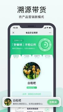 神农口袋种植管理技巧全解析 从选种到收获的农场经营经验分享
