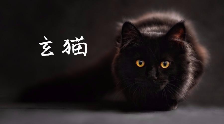 问玄猫辟邪说法 玄猫镇宅讲究 玄猫眼睛颜色