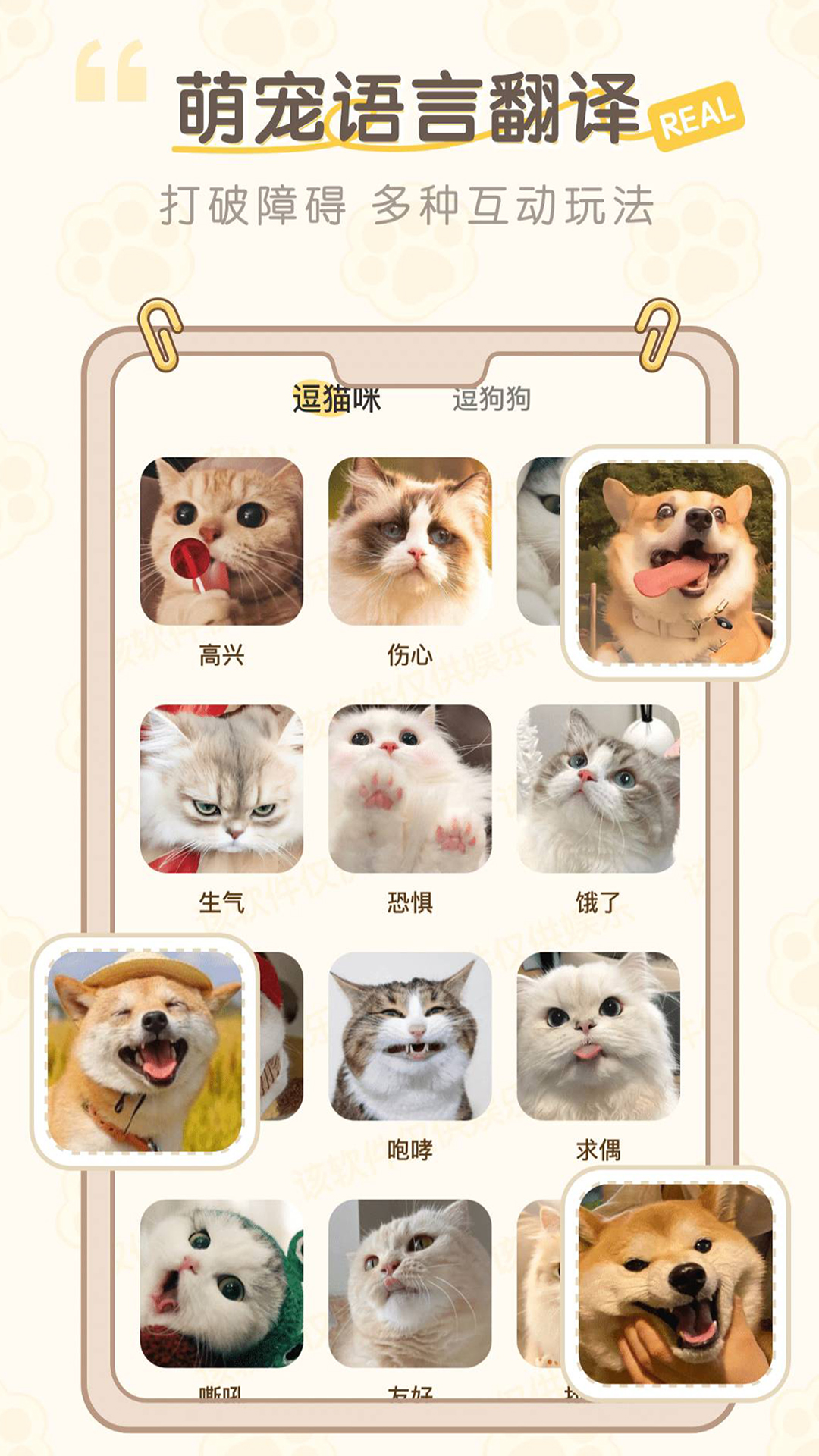 语昜猫狗翻译 猫叫狗叫识别准确率实测对比截图