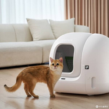 HHOLOVE智能猫砂盆真实使用体验 自动铲屎 除臭效果 养猫家庭实测
