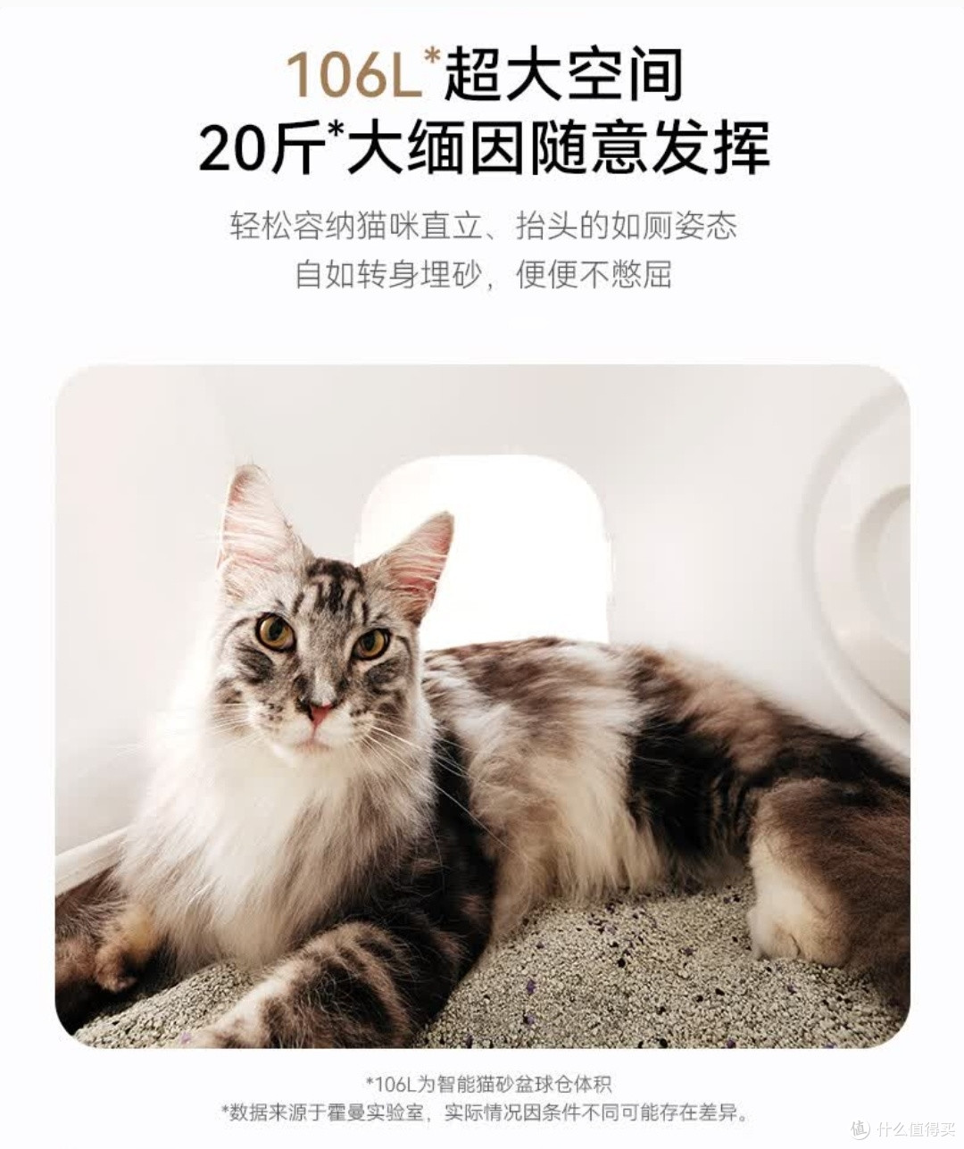 HHOLOVE智能猫砂盆 优缺点总结 养猫家庭 购买建议 对比普通猫砂盆