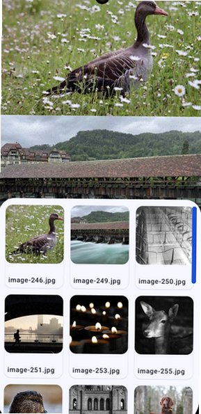 LocalViewer漫画软件最新版1.12.47正式版截图2
