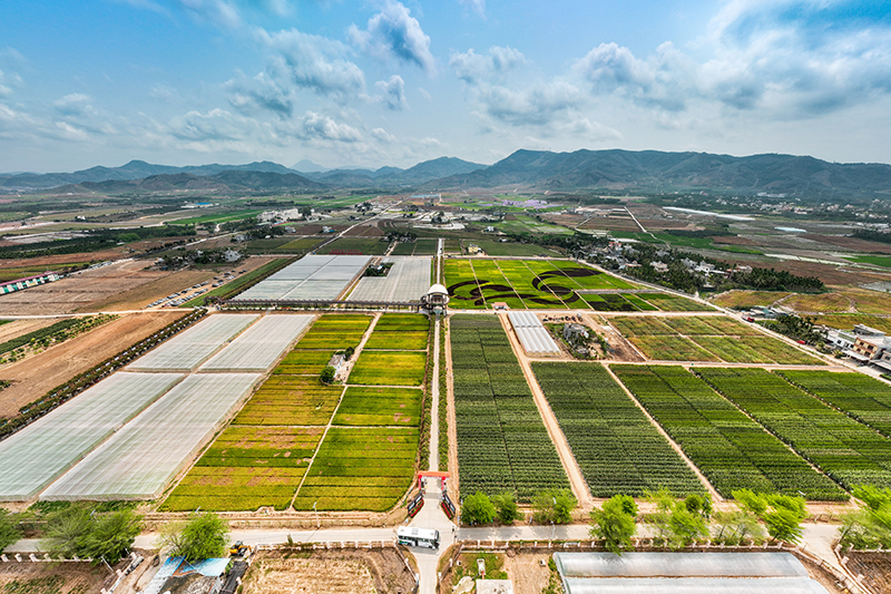 第一种业网官方入口最新地址及平台功能总览