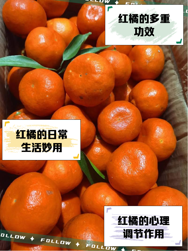 红橘之恋隐藏结局触发条件截图