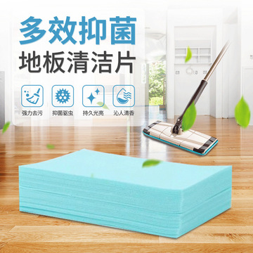 Snailcle蜗牛清洁地板清洁产品拖地场景