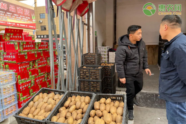 鲁中批发档口甄别实地挑选场景
