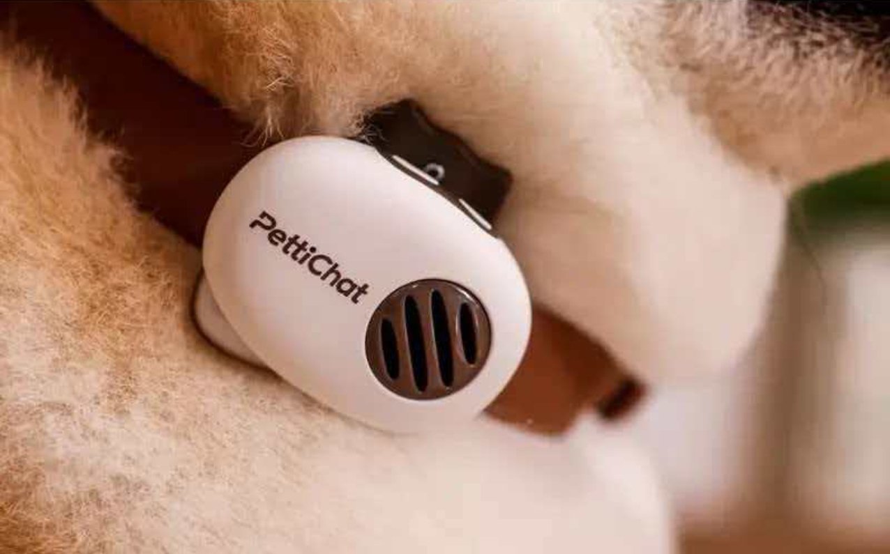 �ȳ����Է�����ʵ��è����������׼ȷ�ʶԱ�ͼ