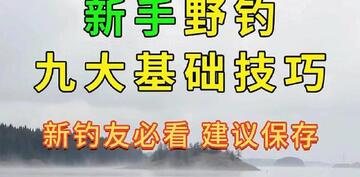 钓鱼宝野钓实战技巧新手爆护全攻略配图