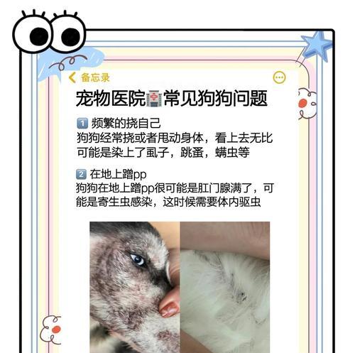 �������� ������������ʱ�䰲����ͼ