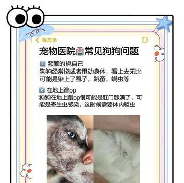 安心养宠 宠物疫苗驱虫时间安排配图