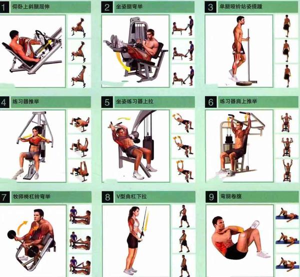 GaoFit�������żƻ� ���������ѵ�� ������ �ӼҶ���