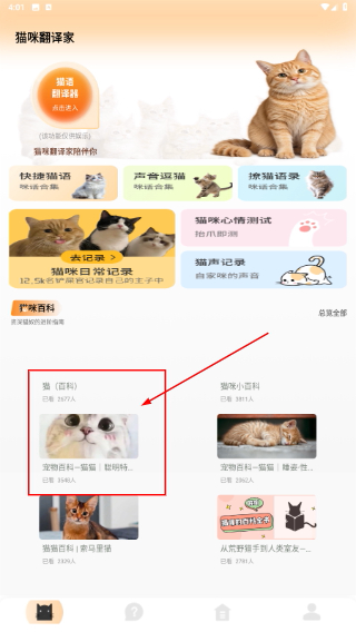 萌宠语言翻译器猫咪叫声识别测试橘猫录音界面