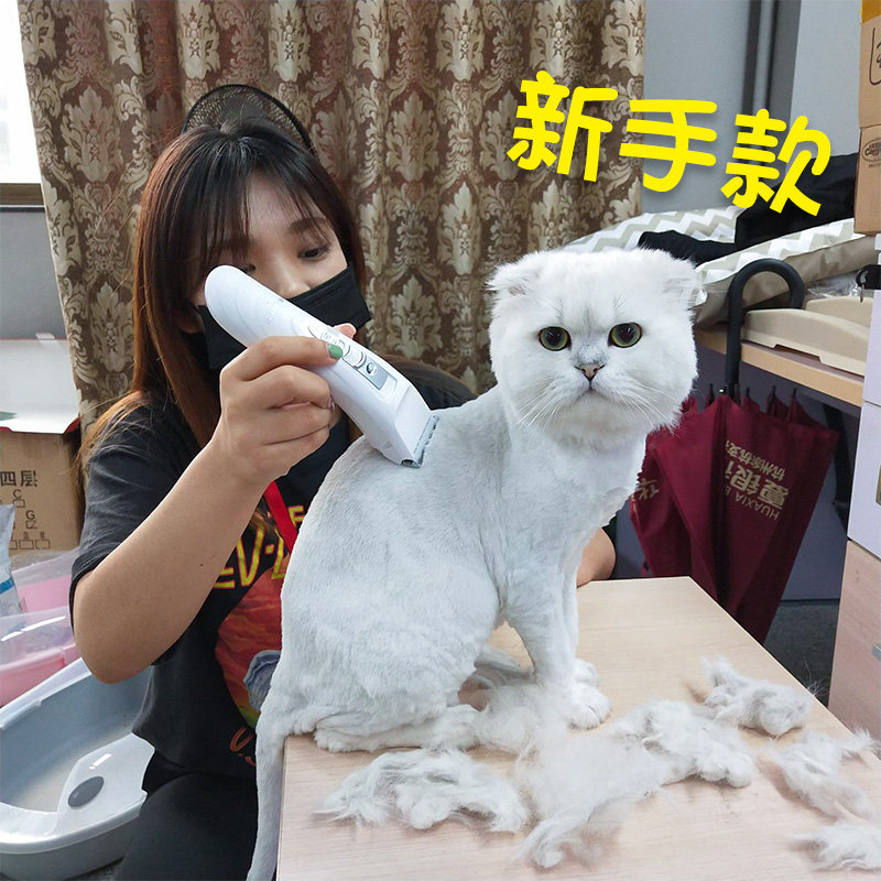 Cat Stylist(è������ʦ) �ճ�Բ��è�������޼��ο�